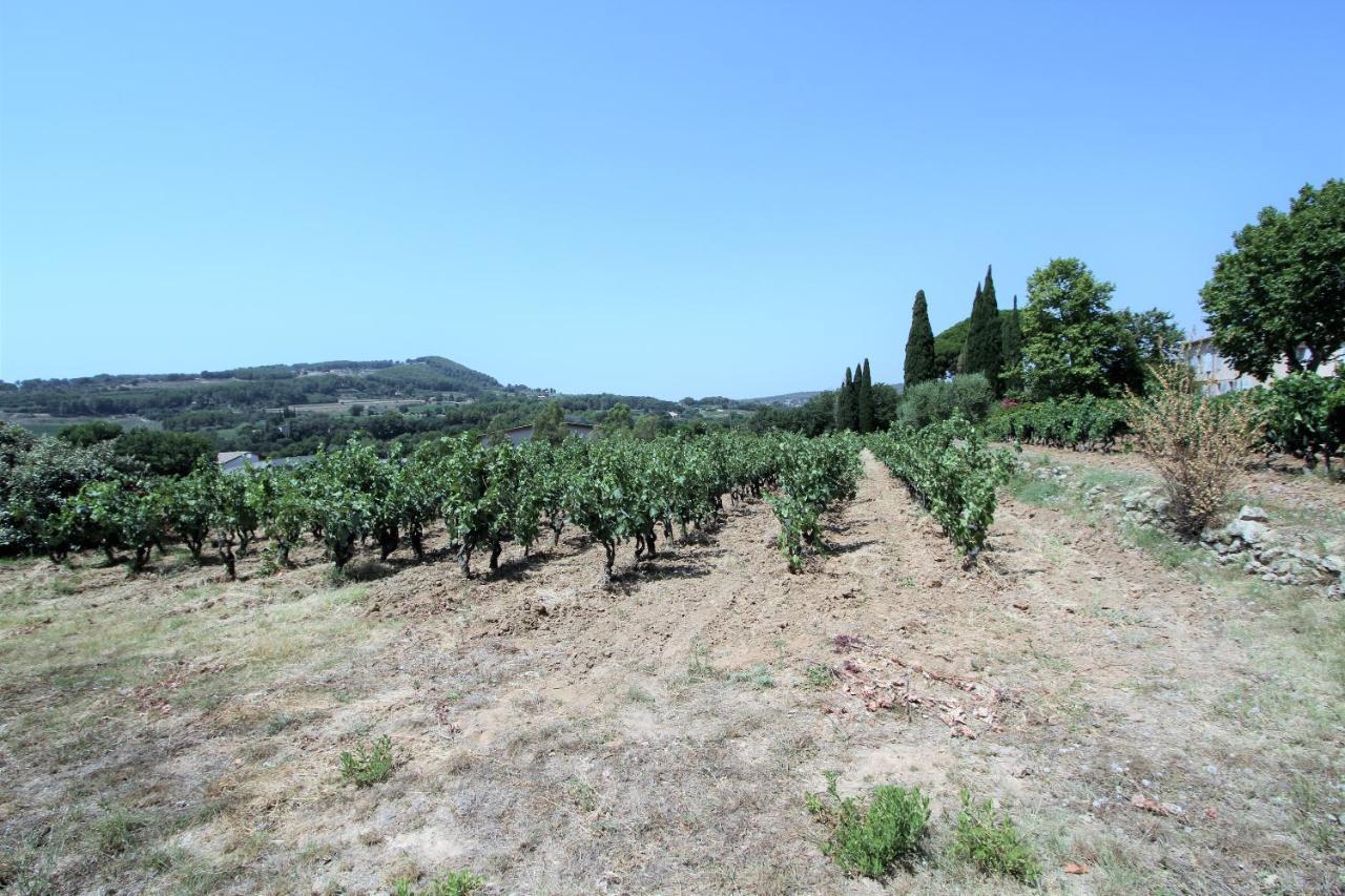 Willa Bastide La Marraine Le Castellet  Zewnętrze zdjęcie